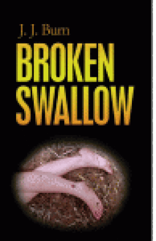Broken Swallow