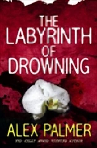 The Labyrinth of Drowning